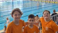 U Banja Luci je 07.-09.06.2024. godine održano Prvenstvo Bosne i Hercegovine u plivanju na olimpijskom (50m) bazenu. Nastupilo je 25 plivačkih klubova sa 345 plivačica i plivača iz cijele Bosne […]